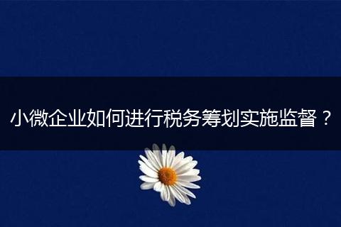 小微企业如何进行税务筹划实施监督?