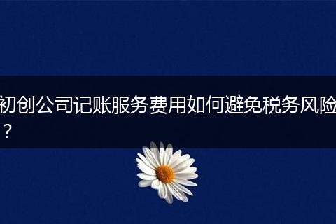 初创公司记账服务费用如何避免税务风险？