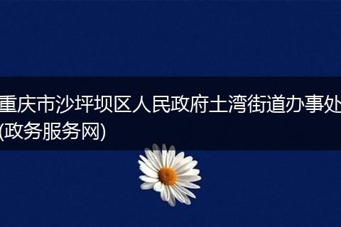 重庆市沙坪坝区人民政府土湾街道办事处(政务服务网)