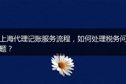 上海代理记账服务流程,如何处理税务问题?