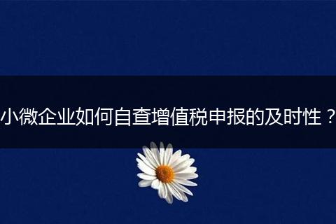 小微企业如何自查增值税申报的及时性？