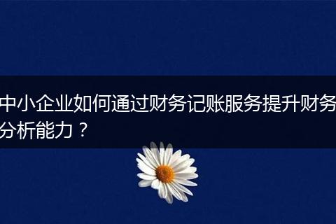 中小企业如何通过财务记账服务提升财务分析能力?