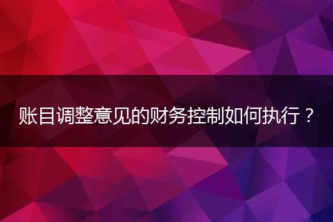 账目调整意见的财务控制如何执行?