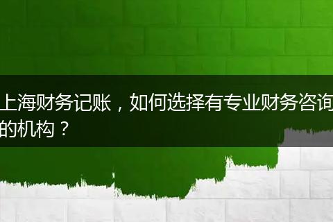 上海财务记账,如何选择有专业财务咨询的机构?