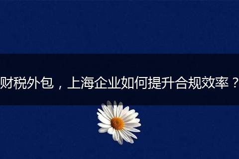 财税外包,上海企业如何提升合规效率?