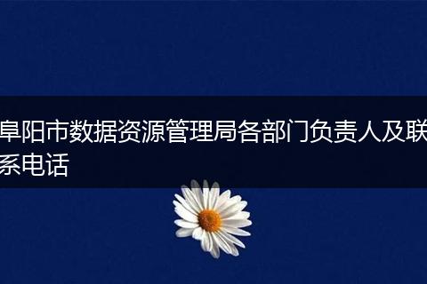 阜阳市数据资源管理局各部门负责人及联系电话