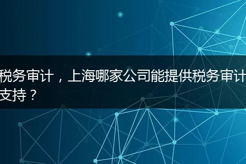 税务审计,上海哪家公司能提供税务审计支持?