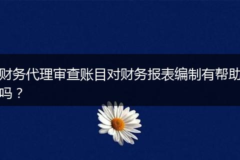 财务代理审查账目对财务报表编制有帮助吗?