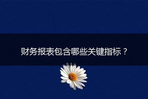 财务报表包含哪些关键指标?