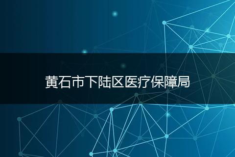 黄石市下陆区医疗保障局