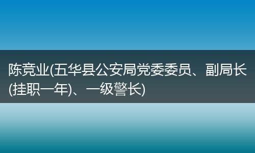 陈竞业(五华县公安局党委委员、副局长(挂职一年)、一级警长)