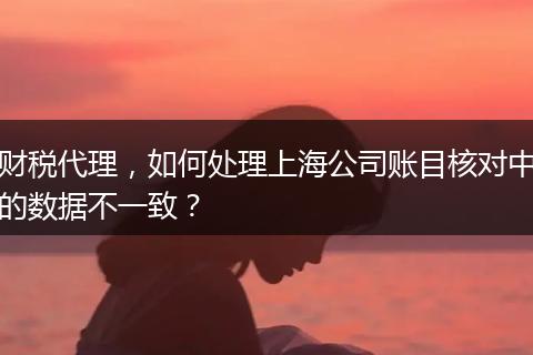 财税代理,如何处理上海公司账目核对中的数据不一致?