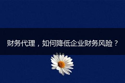 财务代理,如何降低企业财务风险?