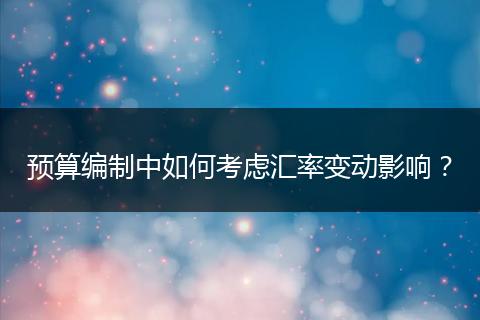 预算编制中如何考虑汇率变动影响?