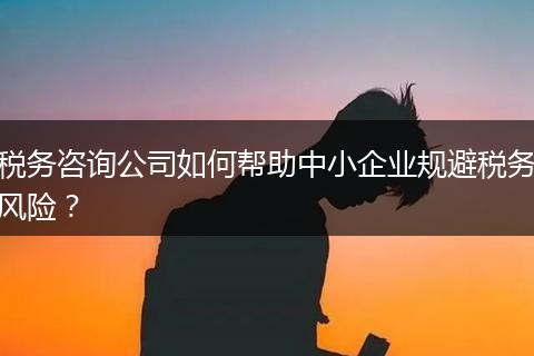 税务咨询公司如何帮助中小企业规避税务风险?