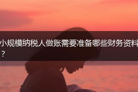 小规模纳税人做账需要准备哪些财务资料?
