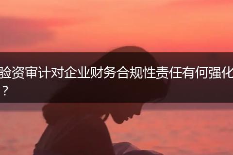 验资审计对企业财务合规性责任有何强化?