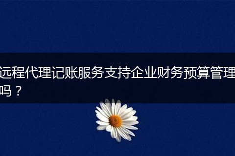 远程代理记账服务支持企业财务预算管理吗?