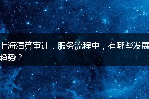 上海清算审计,服务流程中,有哪些发展趋势?