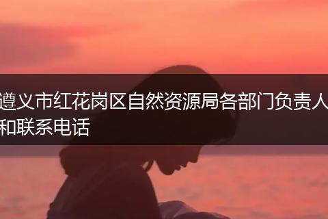 遵义市红花岗区自然资源局各部门负责人和联系电话