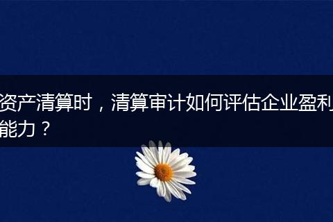 资产清算时,清算审计如何评估企业盈利能力?