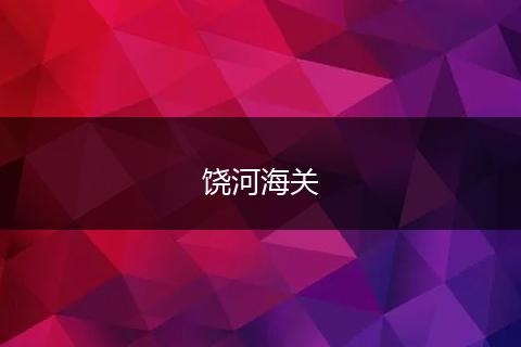 饶河海关