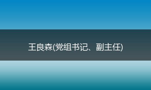 王良森(党组书记、副主任)