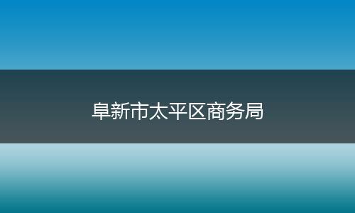 阜新市太平区商务局