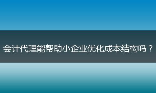 会计代理能帮助小企业优化成本结构吗?