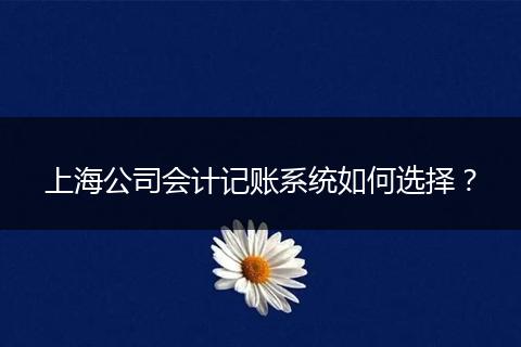 上海公司会计记账系统如何选择?