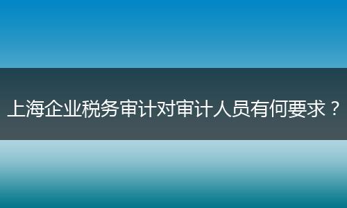 上海企业税务审计对审计人员有何要求?