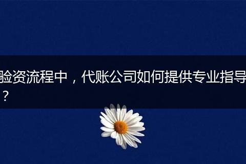 验资流程中,代账公司如何提供专业指导?