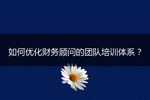 如何优化财务顾问的团队培训体系?