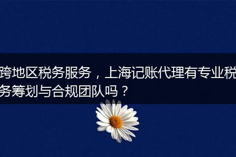 跨地区税务服务,上海记账代理有专业税务筹划与合规团队吗?