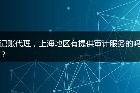 记账代理,上海地区有提供审计服务的吗?
