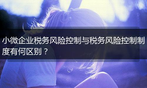 小微企业税务风险控制与税务风险控制制度有何区别？