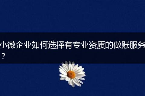 小微企业如何选择有专业资质的做账服务?