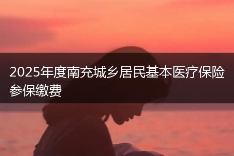 2025年度南充城乡居民基本医疗保险参保缴费