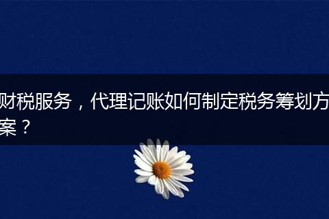 财税服务,代理记账如何制定税务筹划方案?