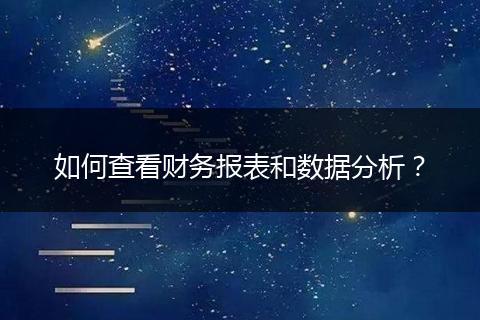 如何查看财务报表和数据分析?