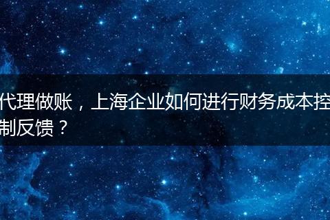 代理做账,上海企业如何进行财务成本控制反馈?