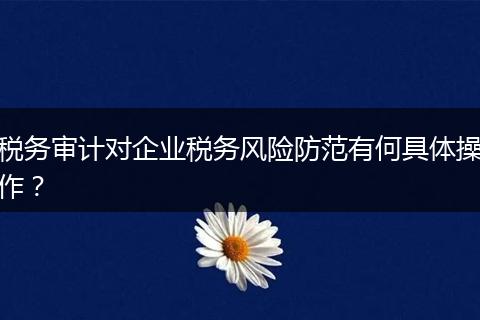 税务审计对企业税务风险防范有何具体操作？