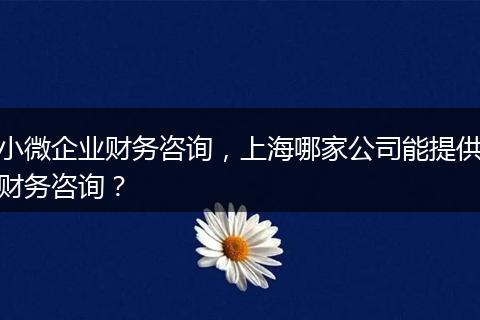 小微企业财务咨询,上海哪家公司能提供财务咨询?