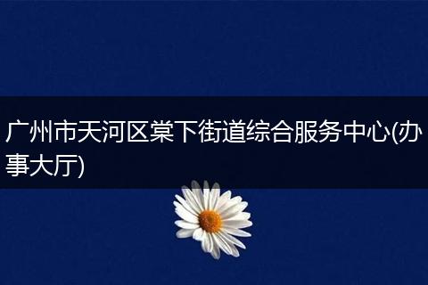 广州市天河区棠下街道综合服务中心(办事大厅)