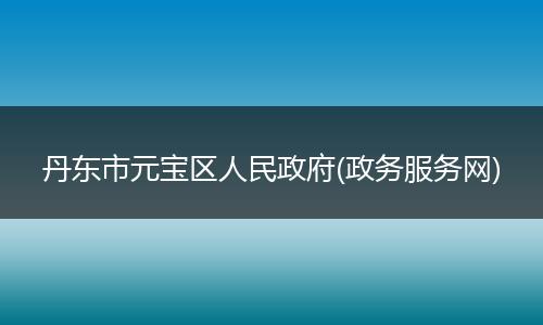 丹东市元宝区人民政府(政务服务网)
