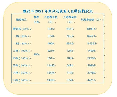 四川社保2021年缴费标准