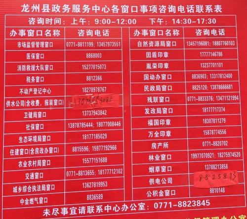 龙州县政务服务中心