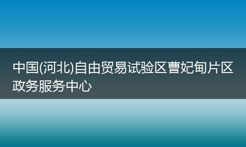 中国(河北)自由贸易试验区曹妃甸片区政务服务中心