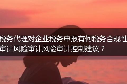 税务代理对企业税务申报有何税务合规性审计风险审计风险审计控制建议?