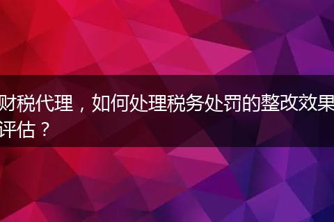 财税代理,如何处理税务处罚的整改效果评估?